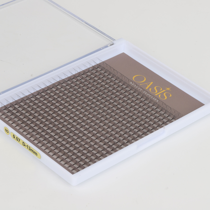 XL 5D 0.07  Lash Tray