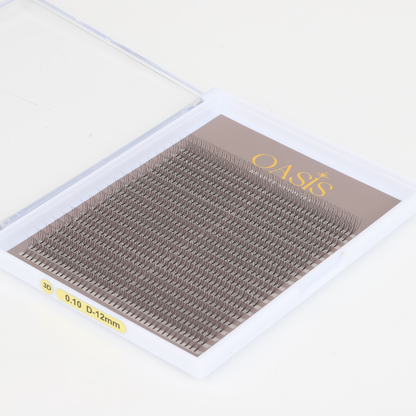 XL 3D 0.10 Lash Tray