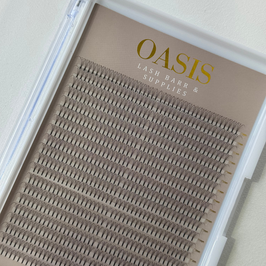 XL 3D 0.10 Lash Tray