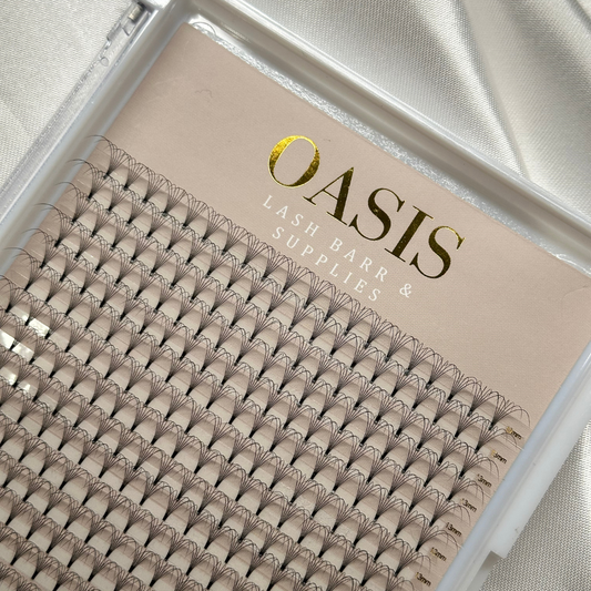 XL 6D 0.07  Lash Trays